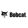 Bobcat